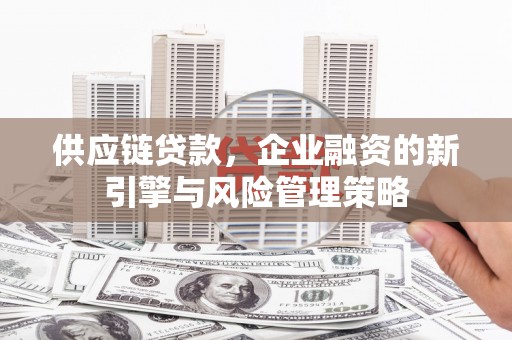 苍南供应链贷款，企业融资的新引擎与风险管理策略