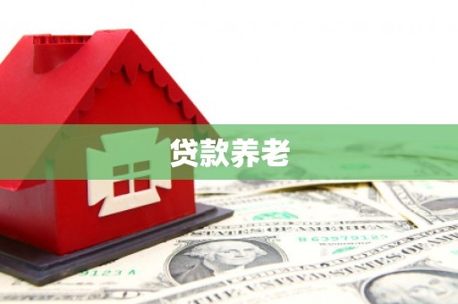 苍南贷款养老