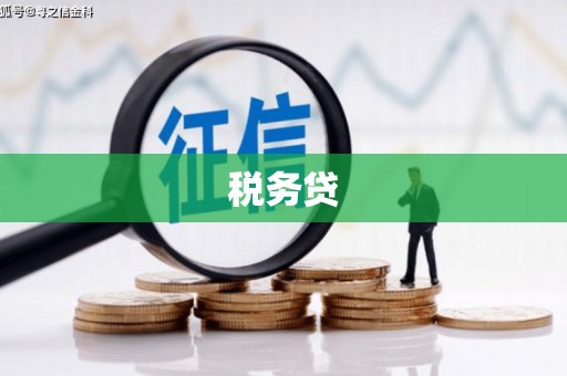 苍南税务贷
