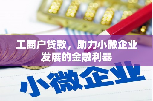 苍南工商户贷款，助力小微企业发展的金融利器