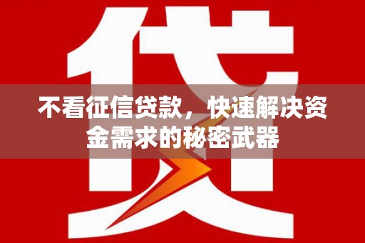 苍南不看征信贷款，快速解决资金需求的秘密武器