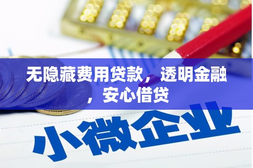 苍南无隐藏费用贷款，透明金融，安心借贷