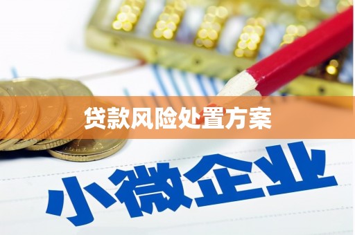 苍南贷款风险处置方案