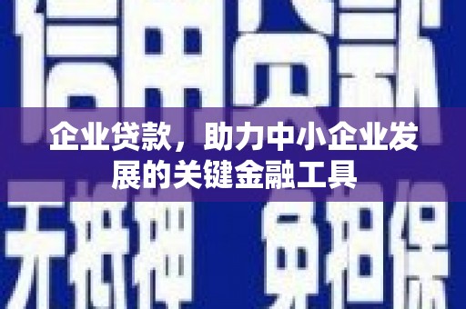 苍南企业贷款，助力中小企业发展的关键金融工具