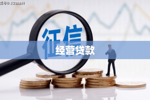苍南经营贷款