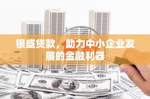 苍南银盛贷款，助力中小企业发展的金融利器