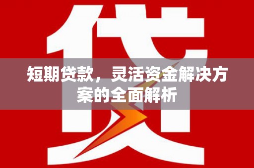 苍南短期贷款，灵活资金解决方案的全面解析