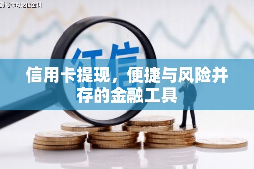 苍南信用卡提现，便捷与风险并存的金融工具