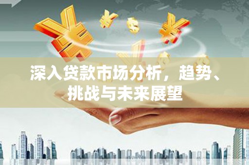 苍南深入贷款市场分析，趋势、挑战与未来展望