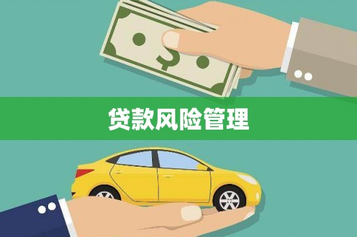 苍南贷款风险管理
