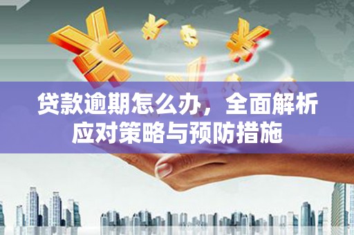 苍南贷款逾期怎么办，全面解析应对策略与预防措施