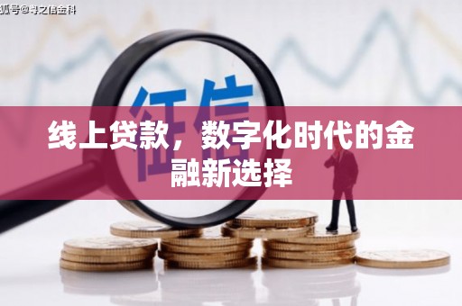 苍南线上贷款，数字化时代的金融新选择