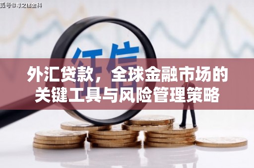 苍南外汇贷款，全球金融市场的关键工具与风险管理策略