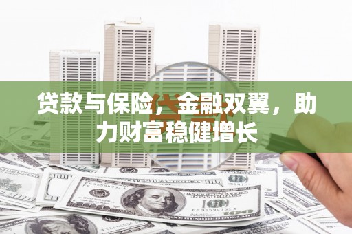 苍南贷款与保险，金融双翼，助力财富稳健增长