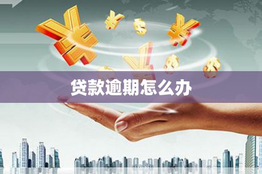 苍南贷款逾期怎么办