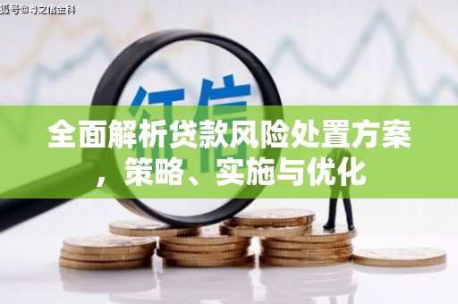 苍南全面解析贷款风险处置方案，策略、实施与优化