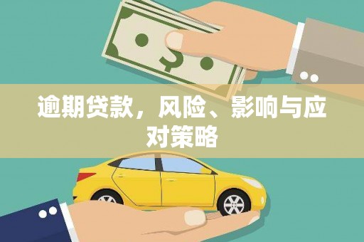 苍南逾期贷款，风险、影响与应对策略