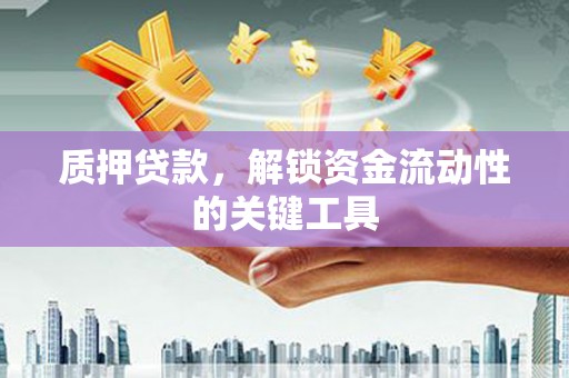 苍南质押贷款，解锁资金流动性的关键工具