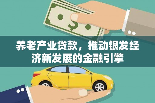 苍南养老产业贷款，推动银发经济新发展的金融引擎
