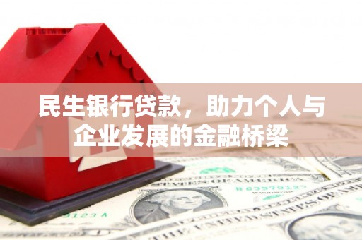 苍南民生银行贷款，助力个人与企业发展的金融桥梁