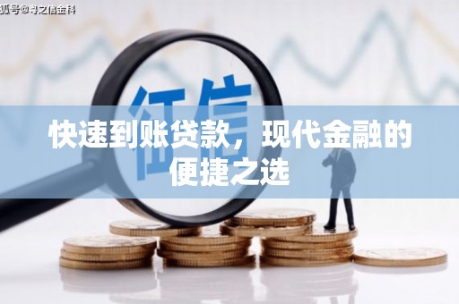 苍南快速到账贷款，现代金融的便捷之选