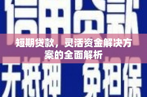 苍南短期贷款，灵活资金解决方案的全面解析