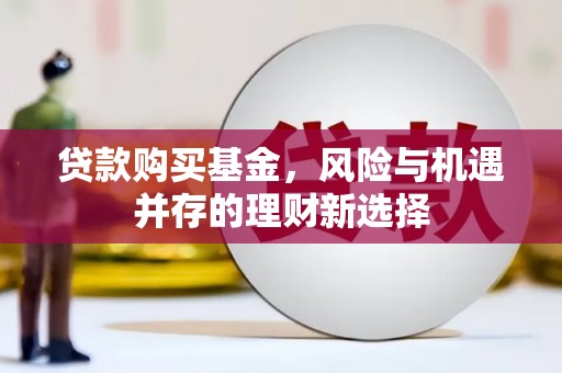 苍南贷款购买基金，风险与机遇并存的理财新选择