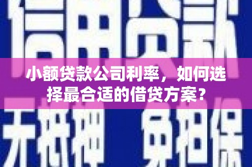苍南小额贷款公司利率，如何选择最合适的借贷方案？