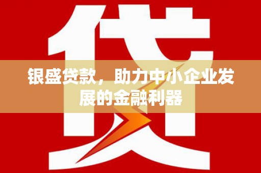 苍南银盛贷款，助力中小企业发展的金融利器