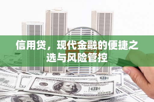 苍南信用贷，现代金融的便捷之选与风险管控