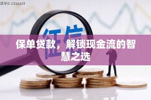 苍南保单贷款，解锁现金流的智慧之选