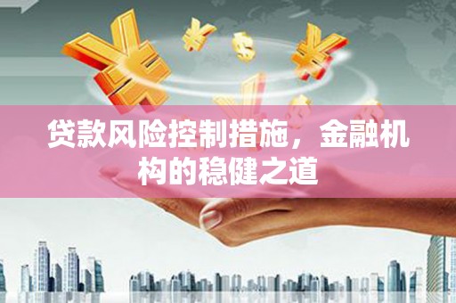 苍南贷款风险控制措施，金融机构的稳健之道
