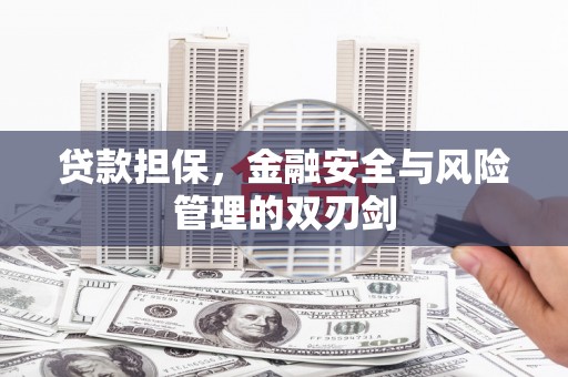 苍南贷款担保，金融安全与风险管理的双刃剑