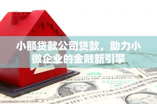 苍南小额贷款公司贷款，助力小微企业的金融新引擎