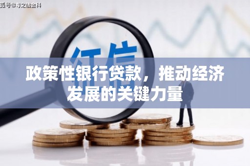 苍南政策性银行贷款，推动经济发展的关键力量