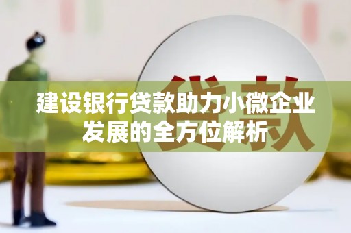 苍南建设银行贷款助力小微企业发展的全方位解析