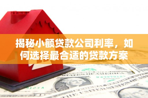 苍南揭秘小额贷款公司利率，如何选择最合适的贷款方案