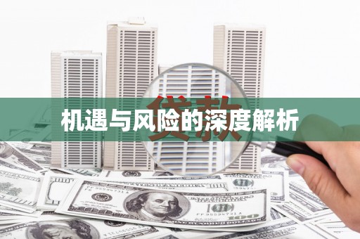 苍南机遇与风险的深度解析