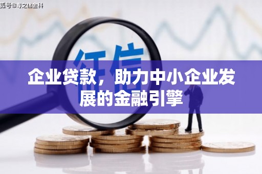 苍南企业贷款，助力中小企业发展的金融引擎