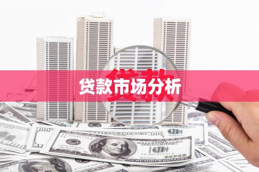 苍南贷款市场分析