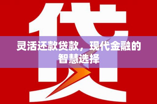 苍南灵活还款贷款，现代金融的智慧选择