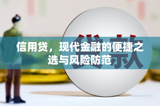 苍南信用贷，现代金融的便捷之选与风险防范