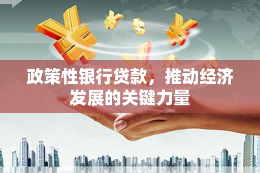苍南政策性银行贷款，推动经济发展的关键力量