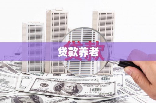 苍南贷款养老
