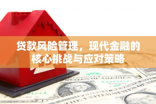 苍南贷款风险管理，现代金融的核心挑战与应对策略