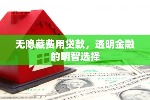 苍南无隐藏费用贷款，透明金融的明智选择