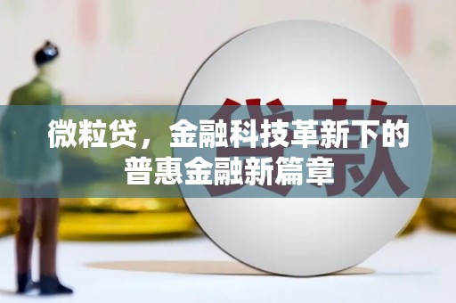 苍南微粒贷，金融科技革新下的普惠金融新篇章