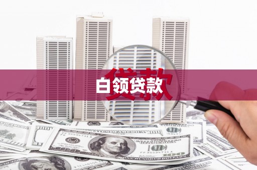 苍南白领贷款
