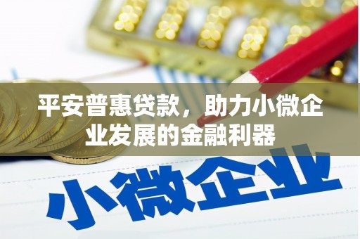 苍南平安普惠贷款，助力小微企业发展的金融利器