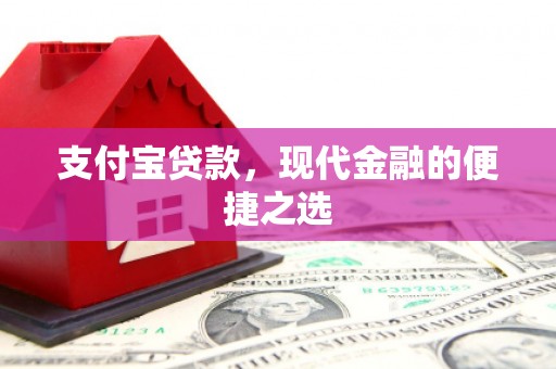 苍南支付宝贷款，现代金融的便捷之选